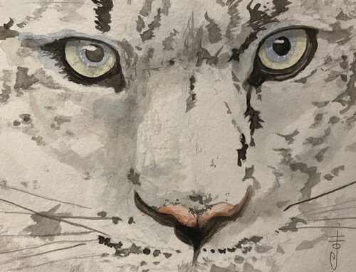 Featured Artist Colt Corman