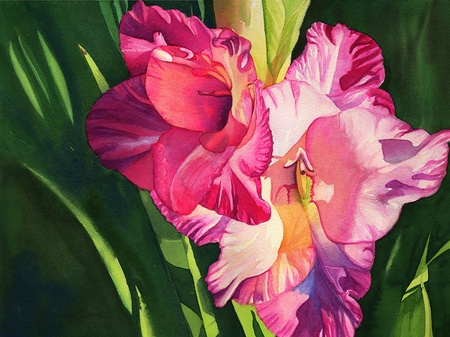 storey_Gladiola_Study_in_Light