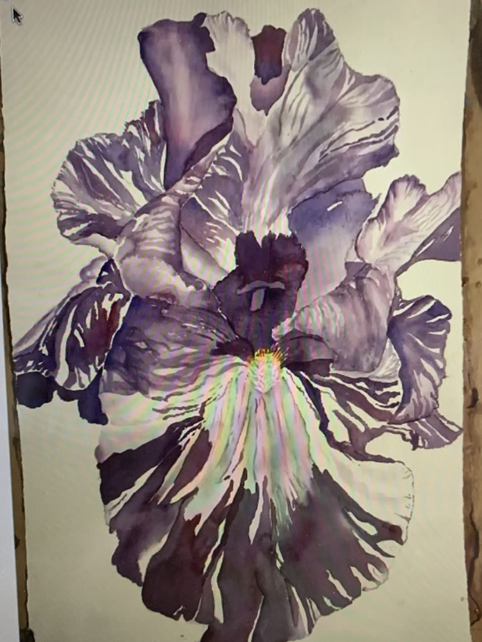 7251D539-B3F3-4073-9972-E7E283C5FC6B