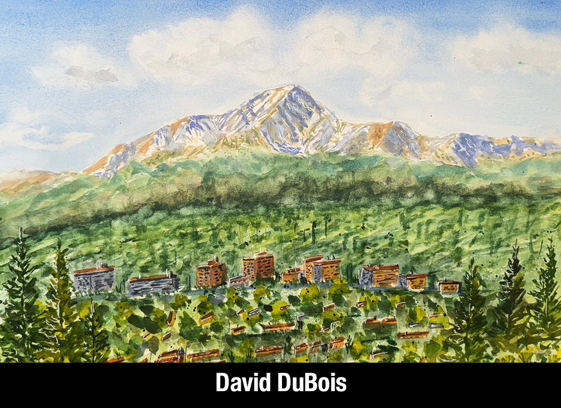 David-DuBois