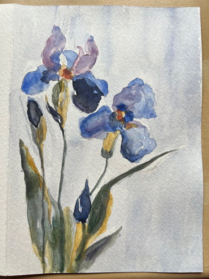 Irises WC by Melissa Bruce