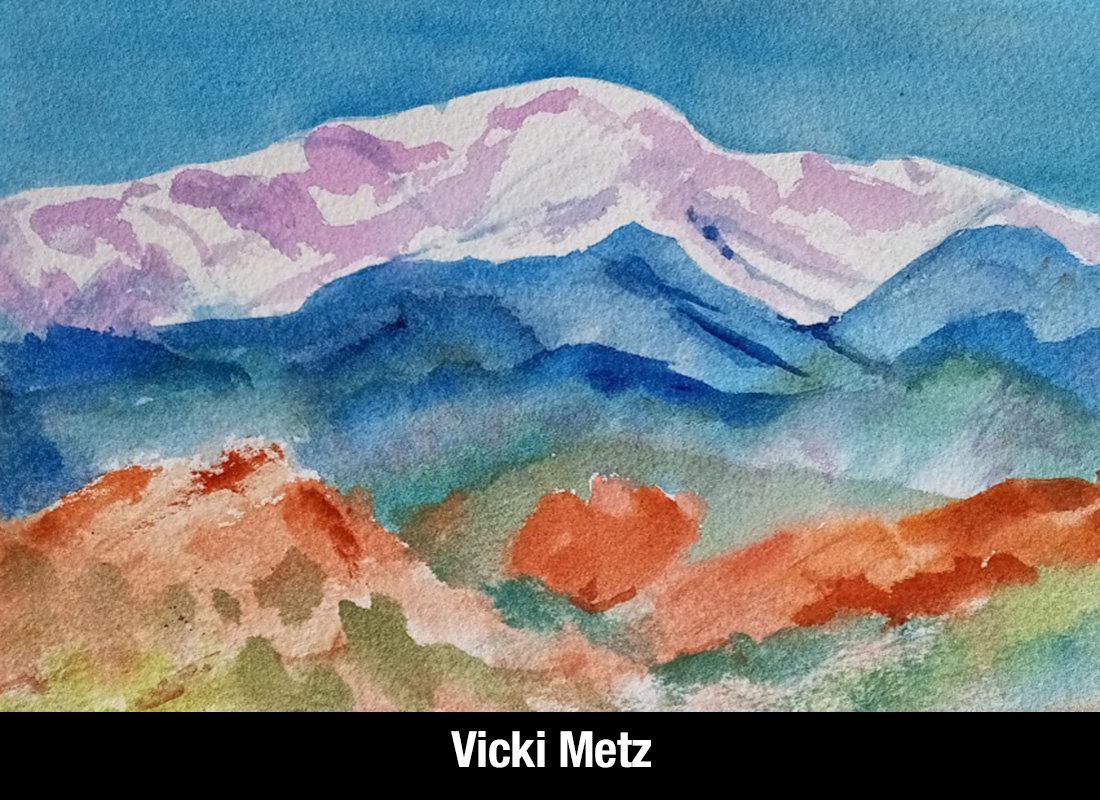 Vicki-Metz