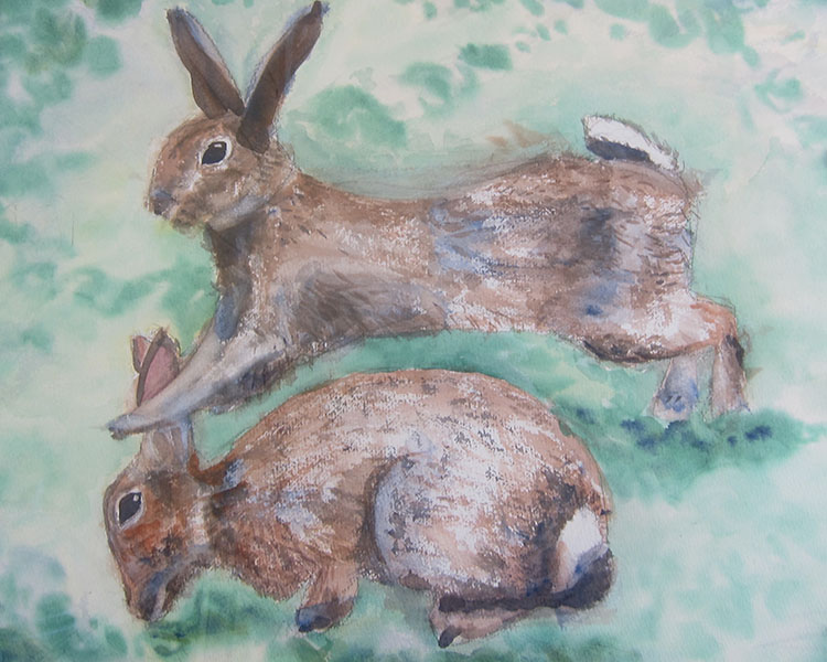Rabbits